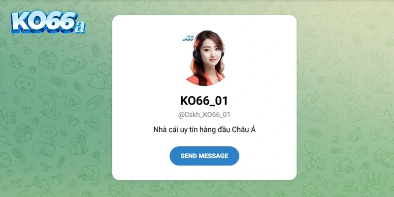 Liên hệ KO66 qua Telegram